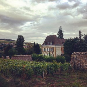Weingut in Burgund | JN Touristik | Ihr Reisebüro in Strausberg